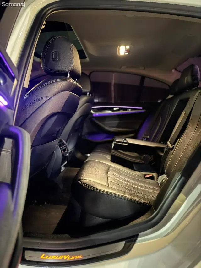 BMW 5 series 2018 · 2.0 AT