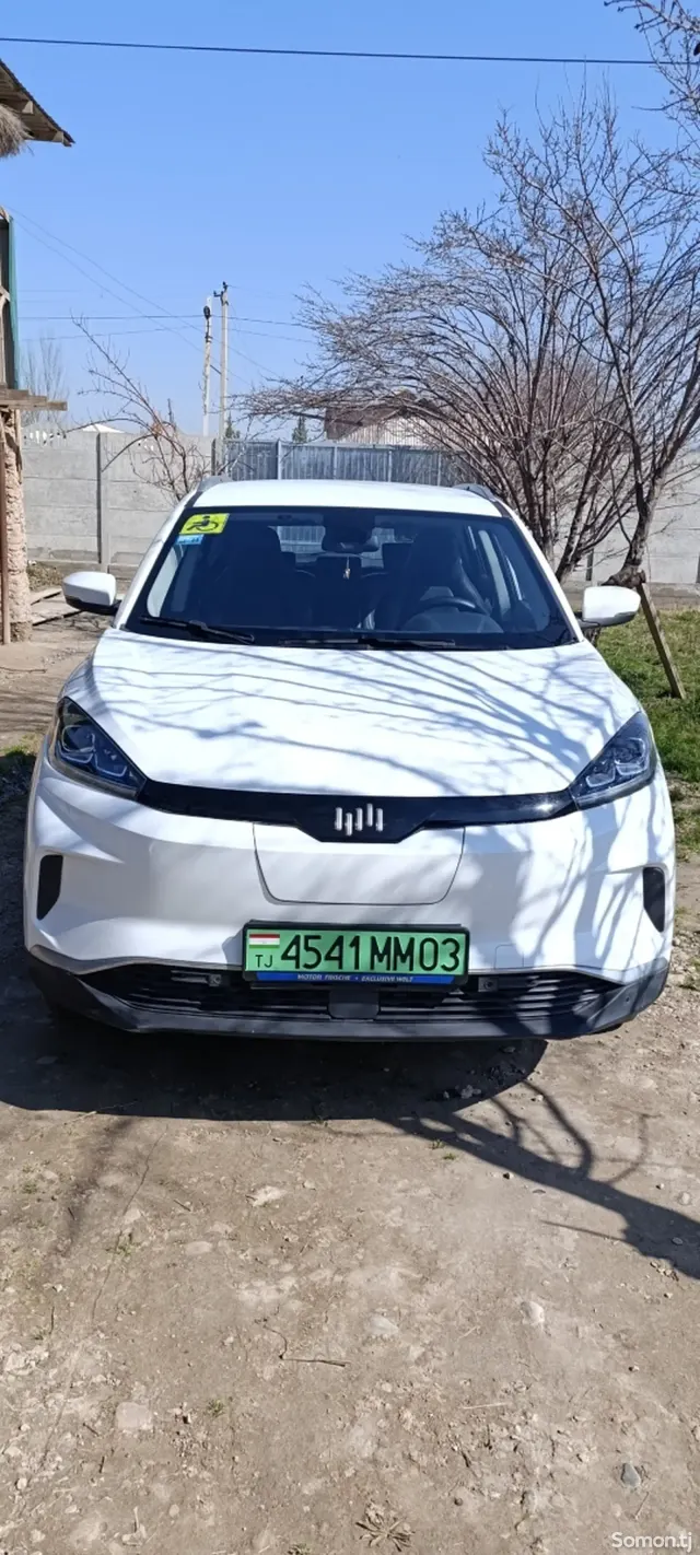 Weltmeister EX5 2019 · AT