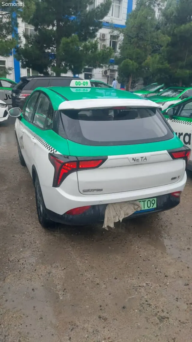 Neta V 2021 · AT