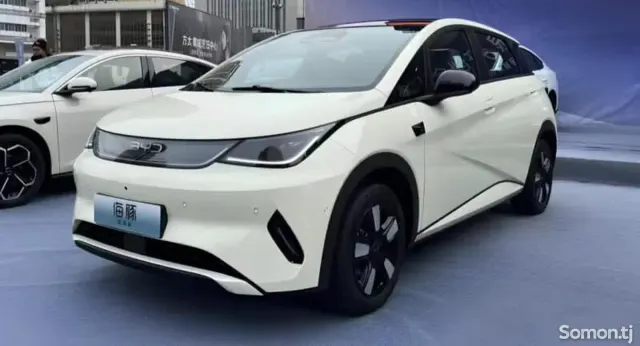 BYD Dolphin 2025 · AT