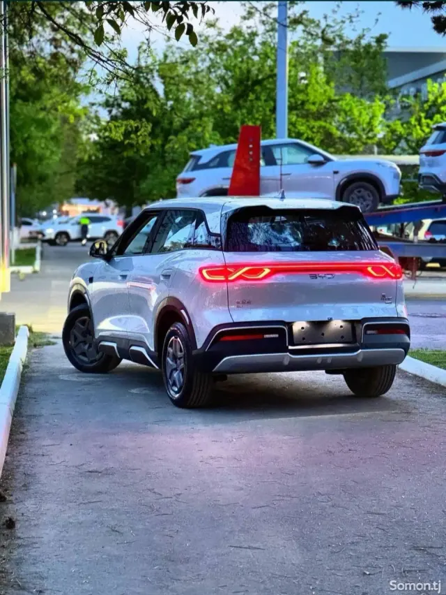 BYD Yuan Up 2025 · AMT
