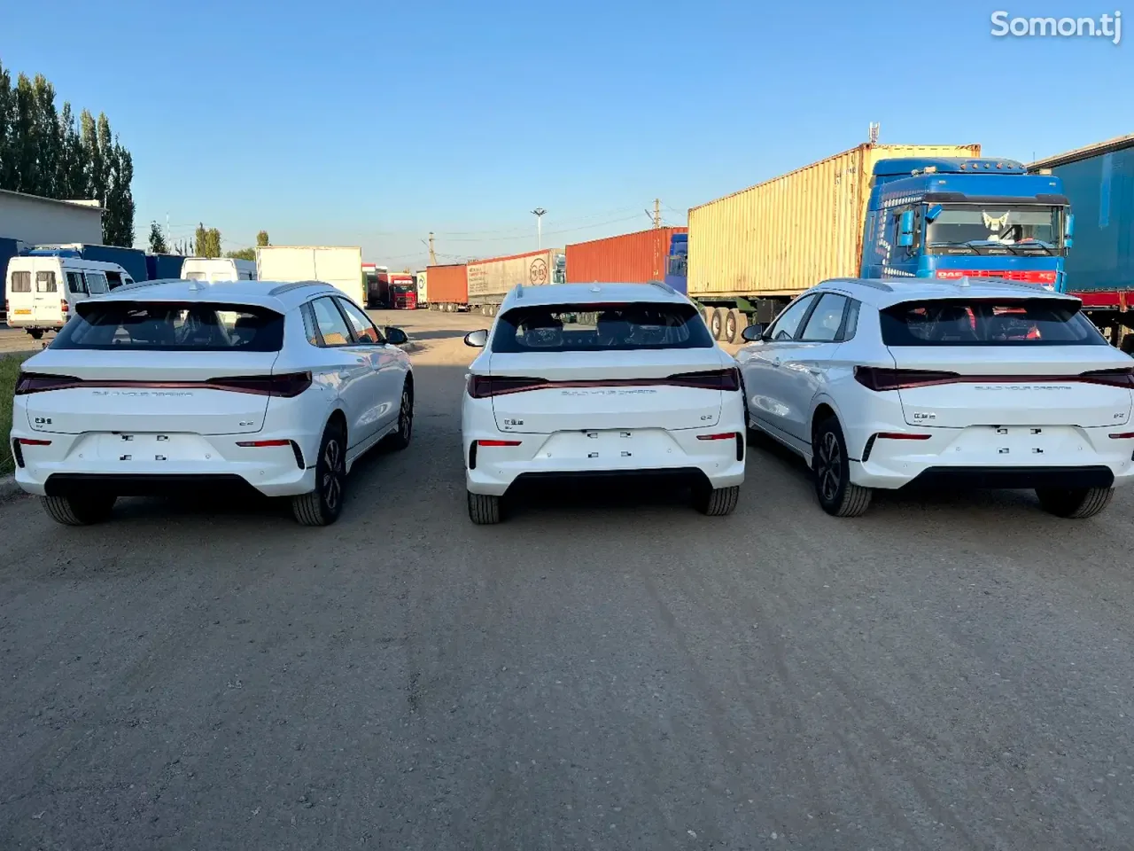 BYD E2 2025 · AMT