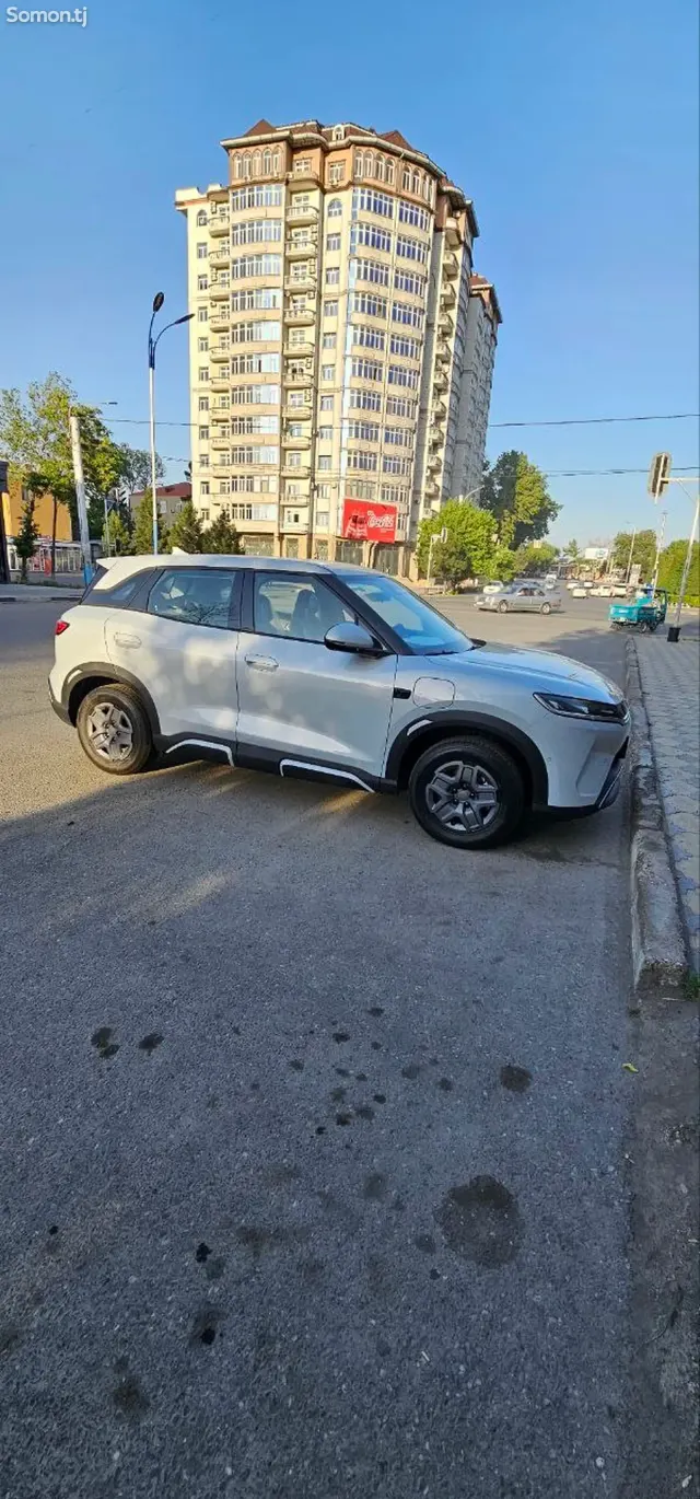 BYD Yuan Up 2025 · AT