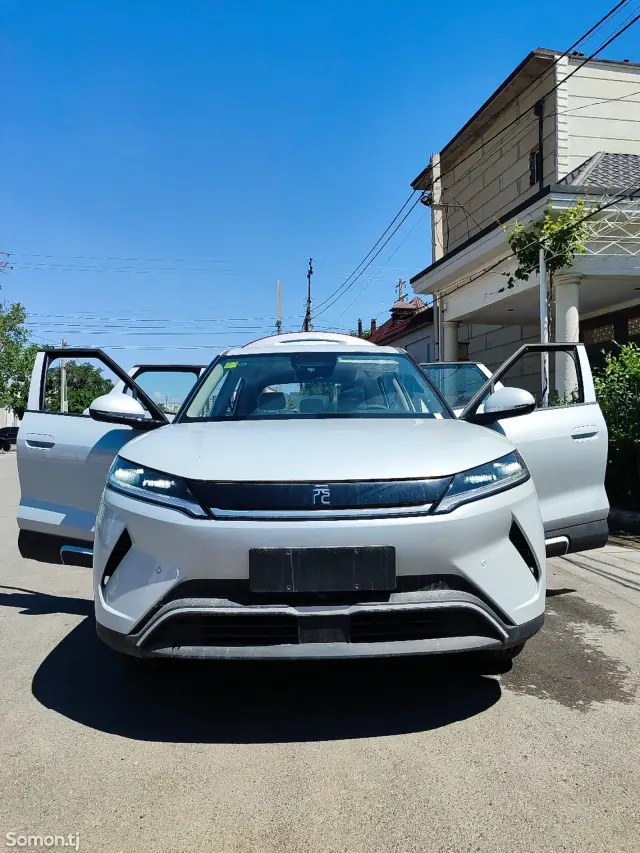 BYD Yuan Up 2025 · AMT