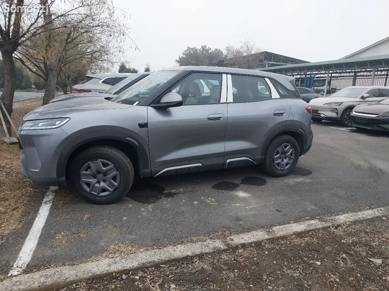 BYD Yuan Up 2025 · AT