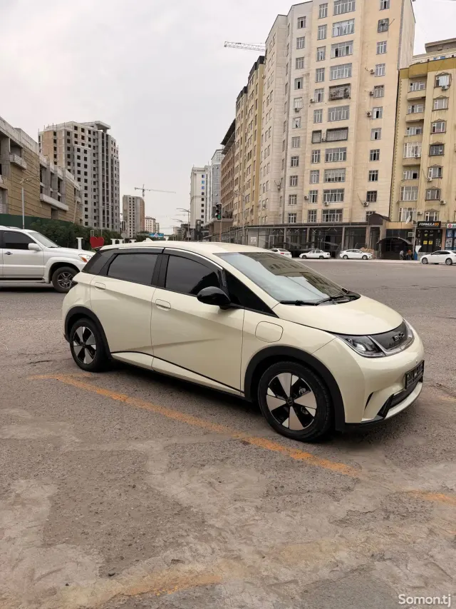 BYD Dolphin 2023 · AT