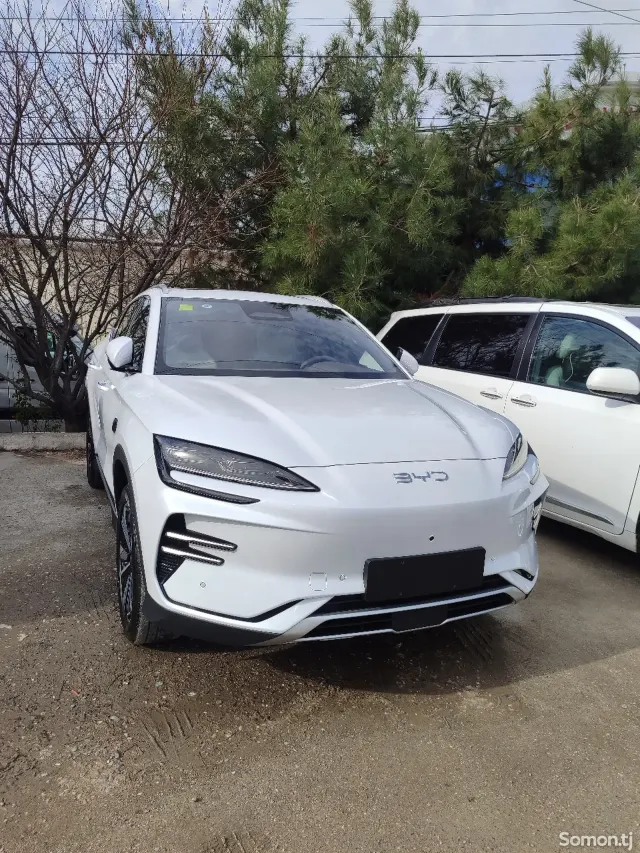 BYD Song Plus 2025 · AT