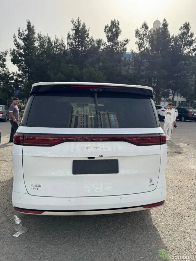 BYD Summer 2025 · AT