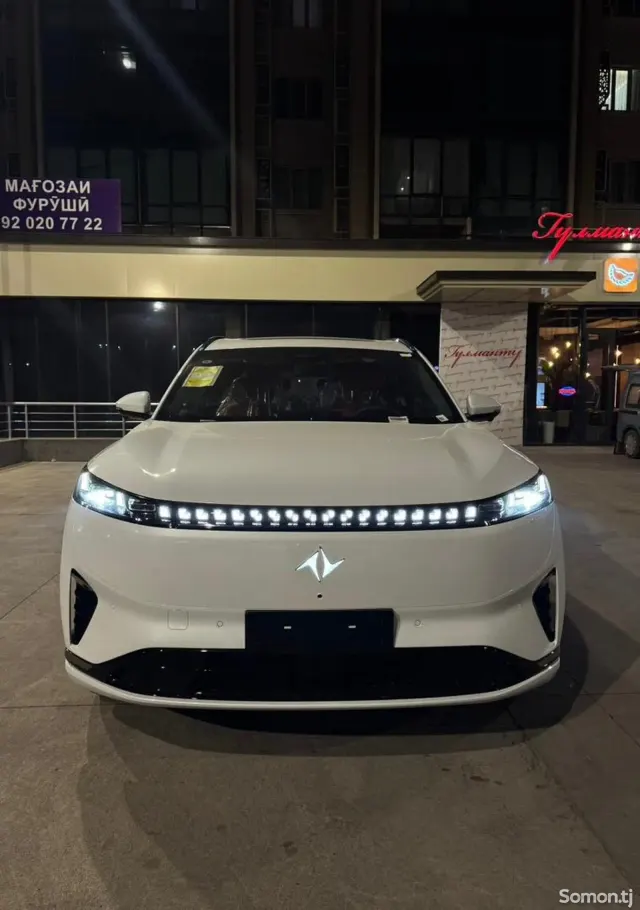 Dongfeng EP 008 2025 · AT