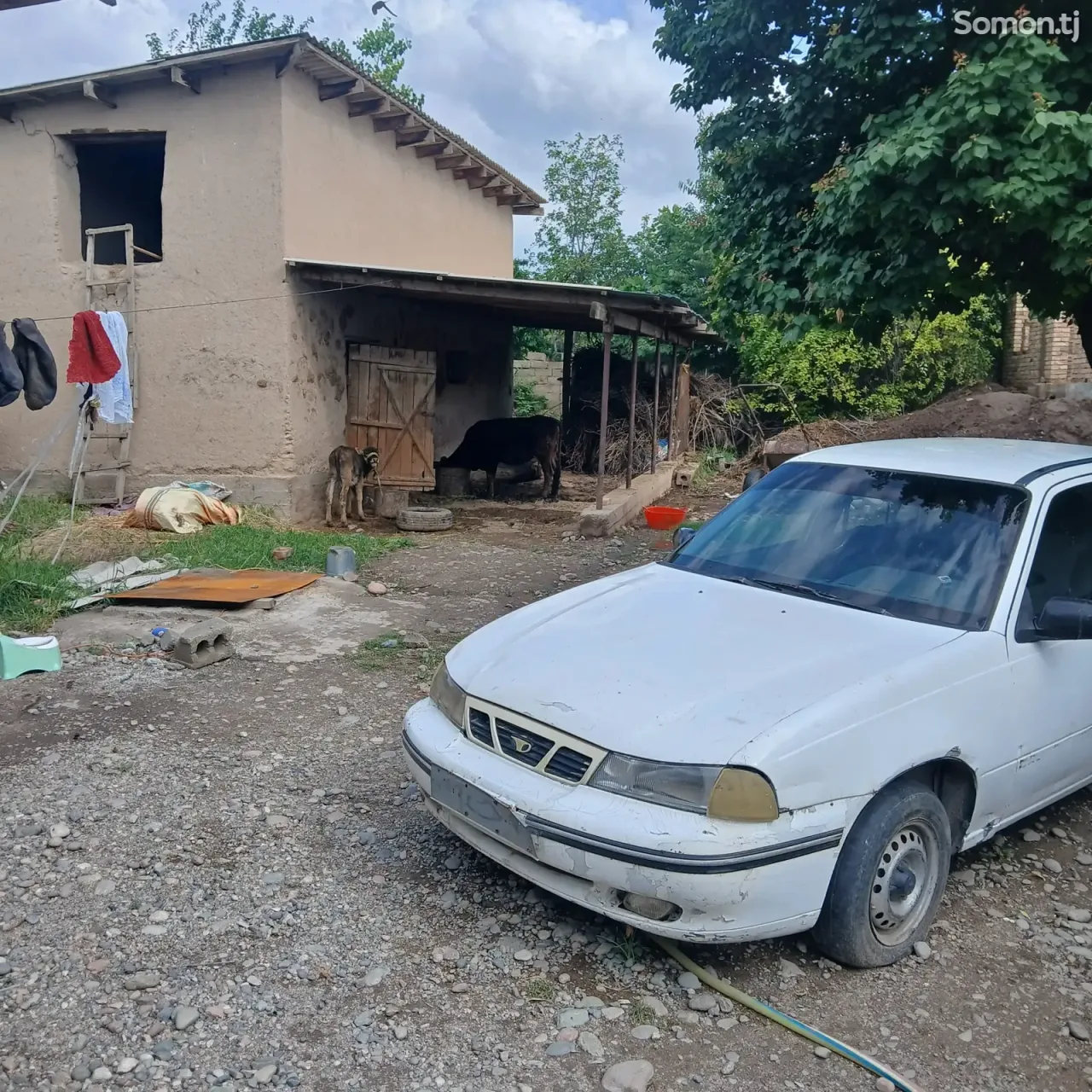 Daewoo Nexia 1995 · 1.6 MT