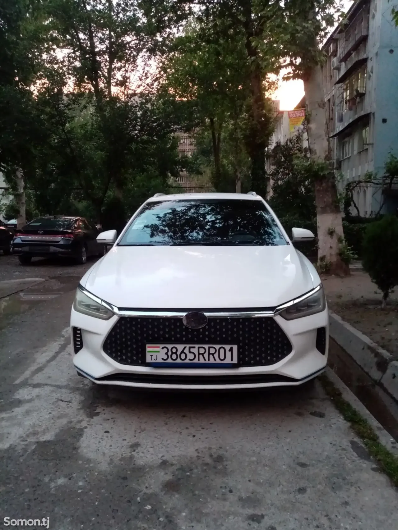 BYD E2 2019 · MT