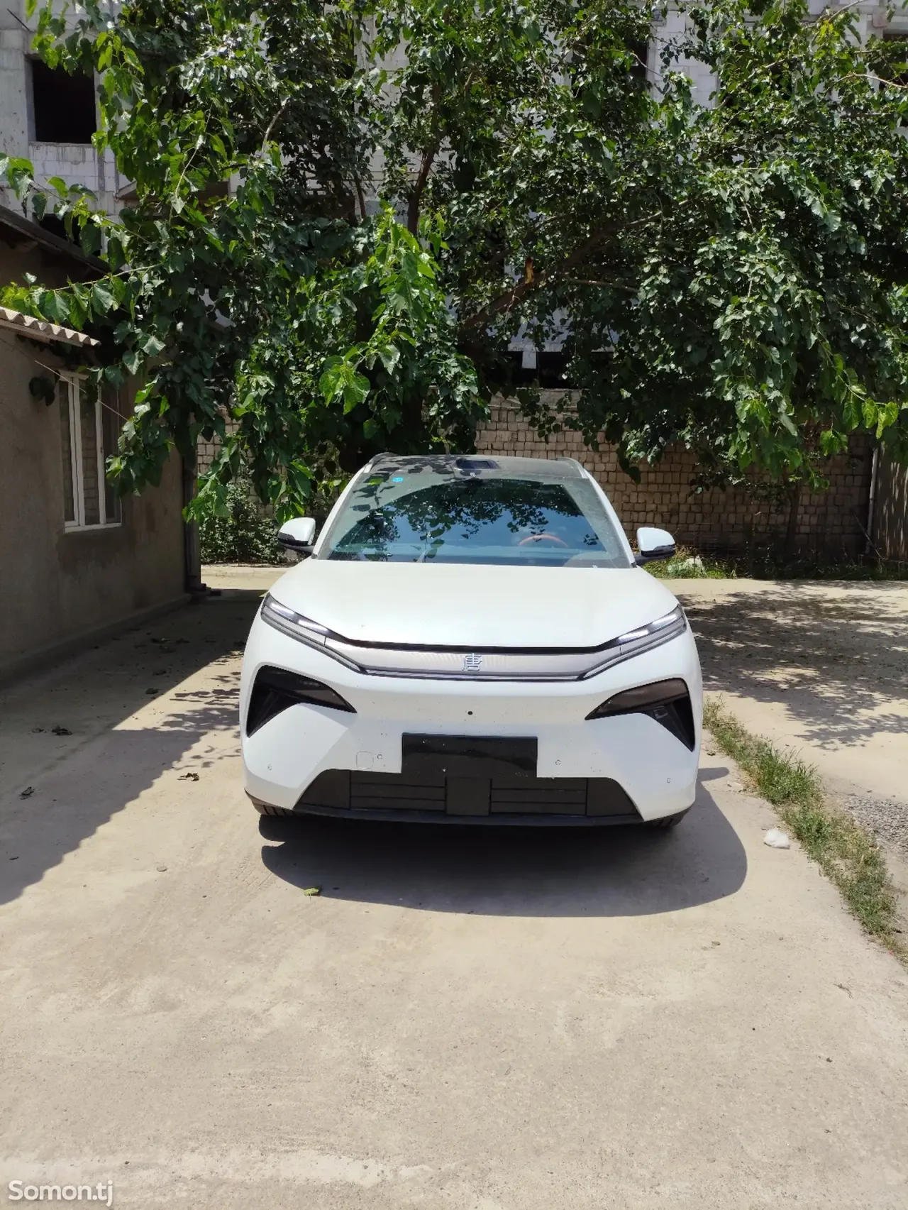 BYD Tang 2025 · AT