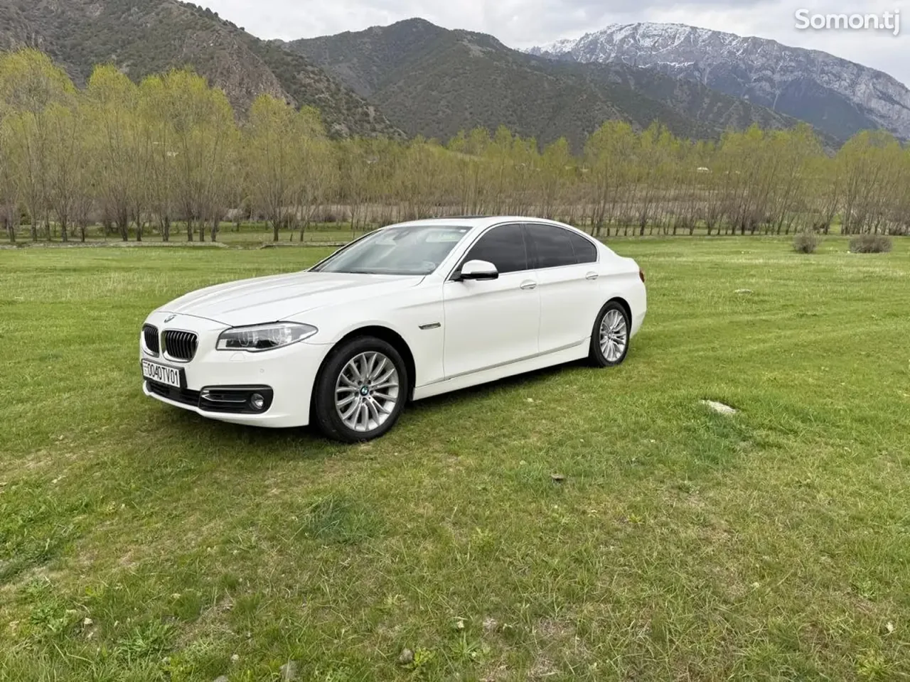 BMW 5 series 2015 · 2.0 AT