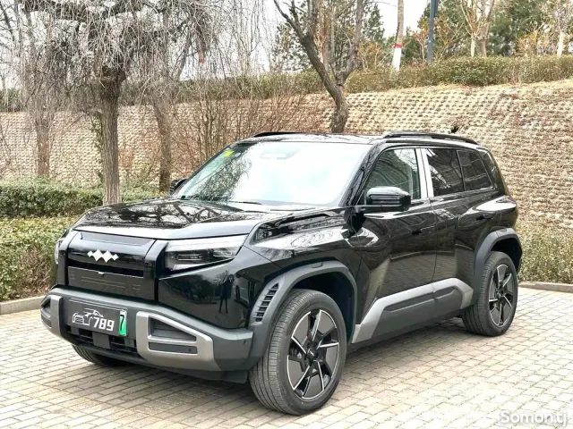 Leopaard Mattu 2025 · AT