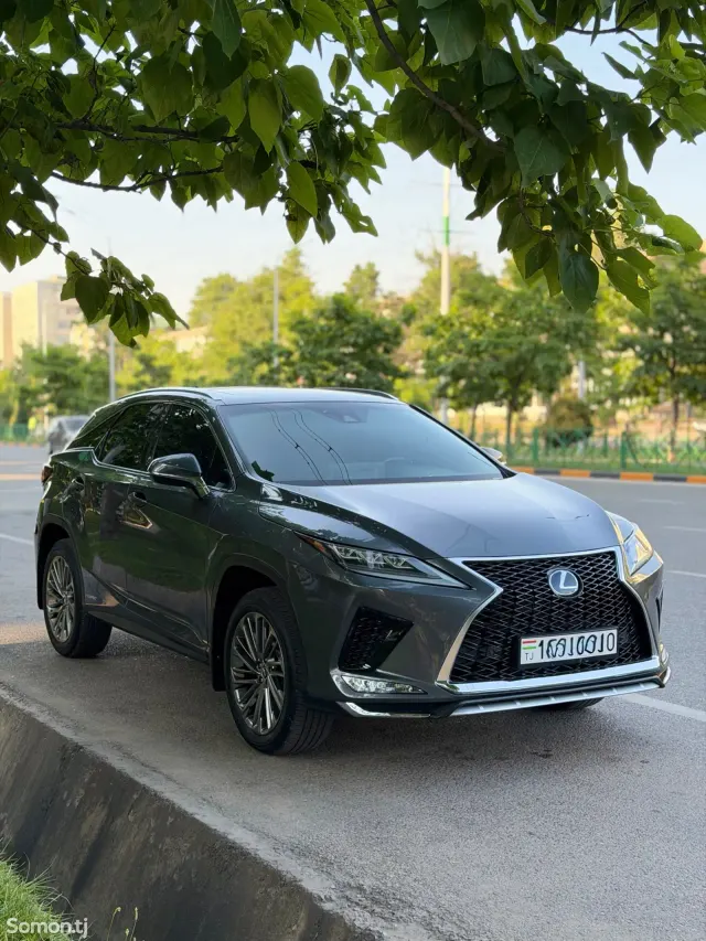 Lexus RX series 2022 · 4.5 AT