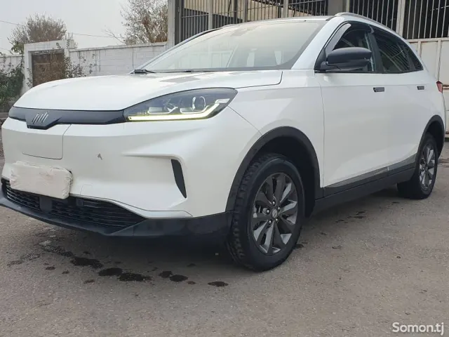 Weltmeister EX5 2019 · AT