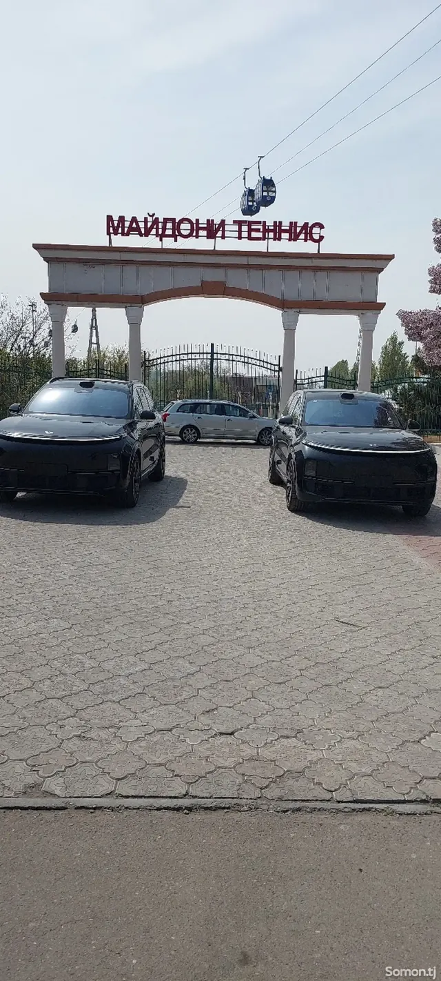 Li Auto (Lixiang) L9 2025 · 4.0 AMT