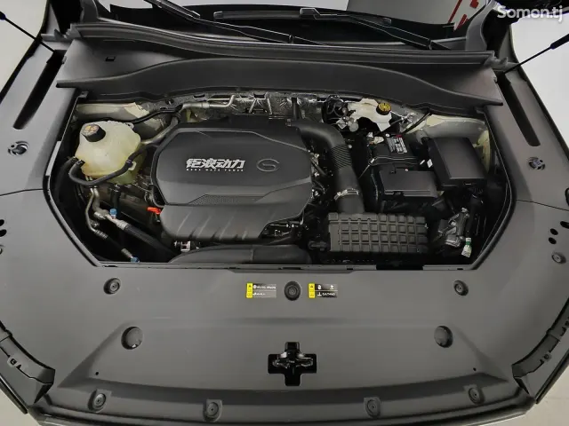 GAC Trumpchi GS8 2022 · 2.0 AT