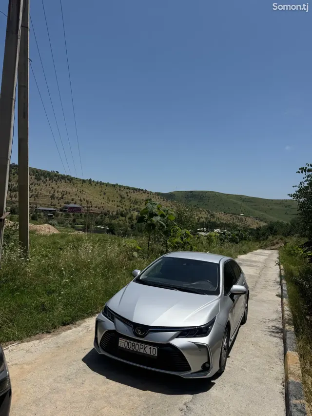 Toyota Corolla 2019 · 1.6 MT