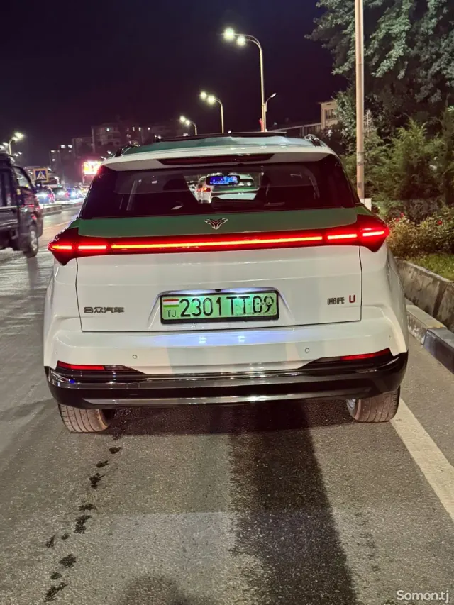 Neta U 2024 · AMT