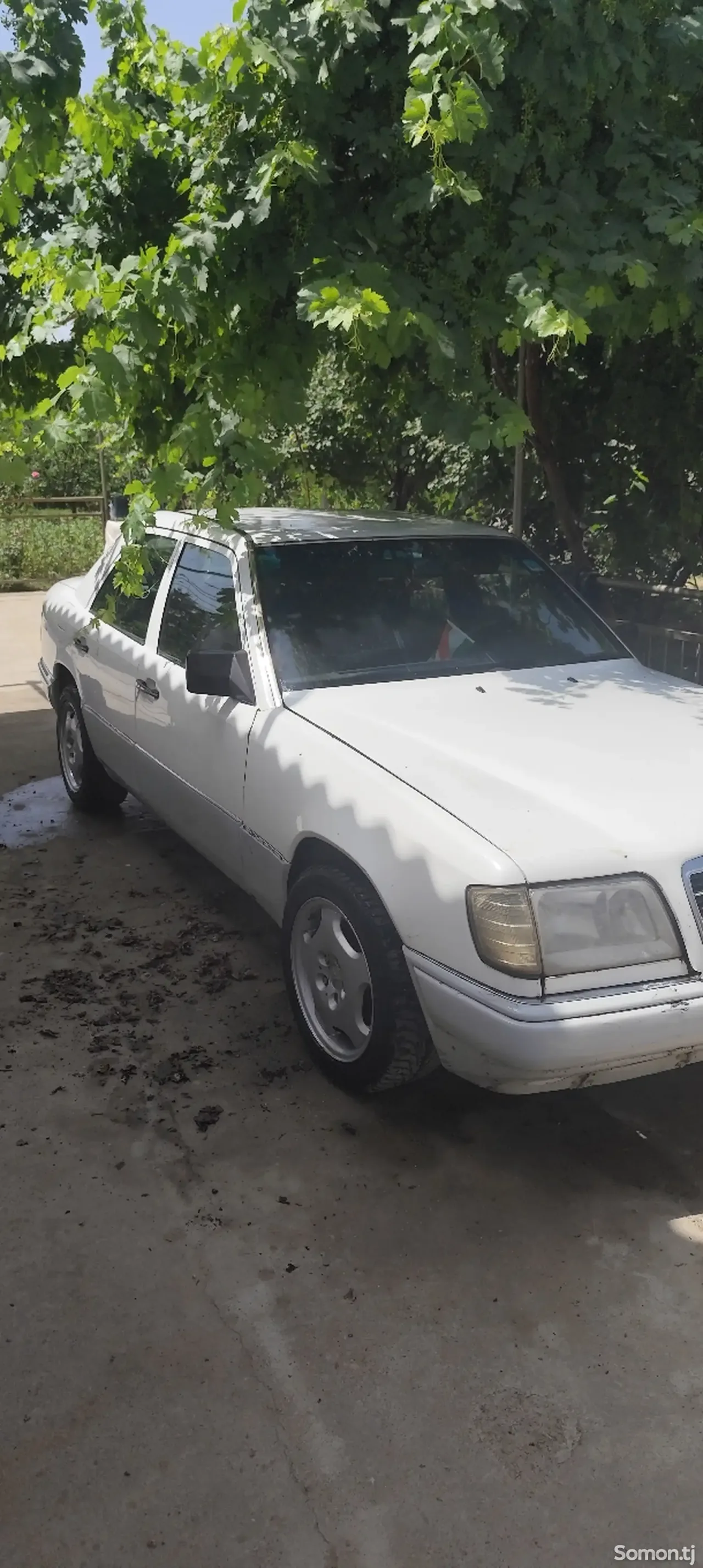 Mercedes-Benz W124 1994 · 2.2 MT
