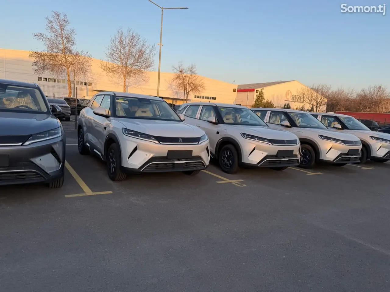 BYD Yuan Up 2026 · 1.6 AT