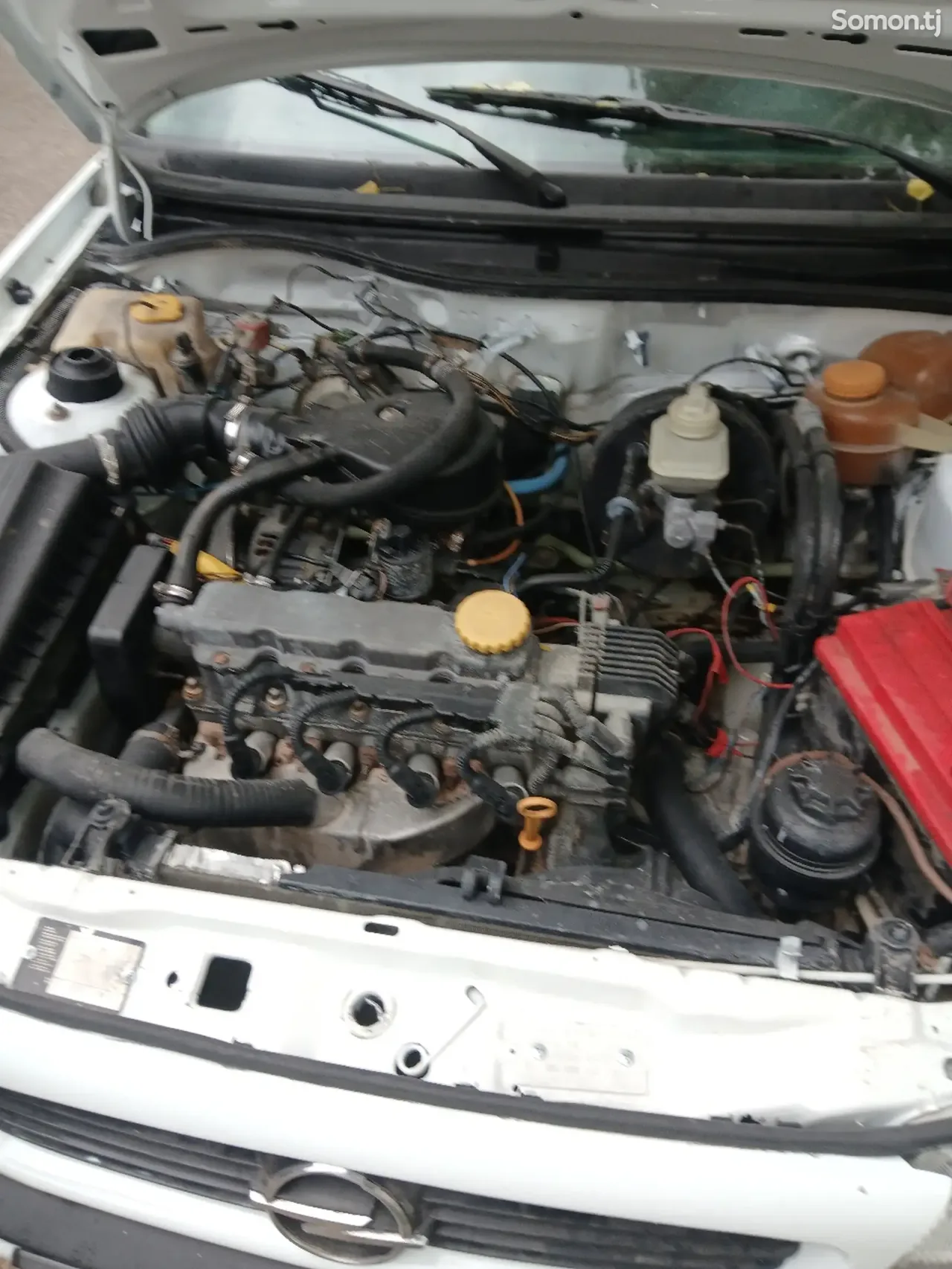 Opel Astra F 1995 · 1.6 MT