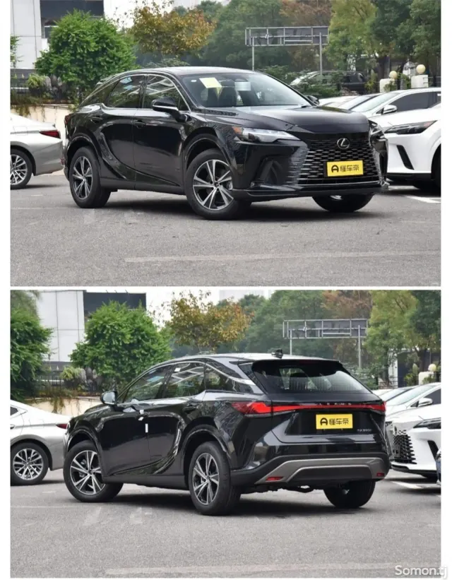 Lexus RX series 2025 · 2.5 AT