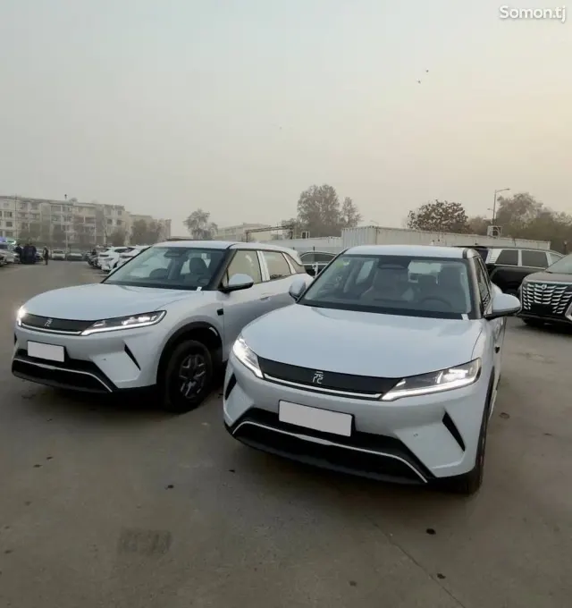 BYD Yuan Up 2025 · AMT