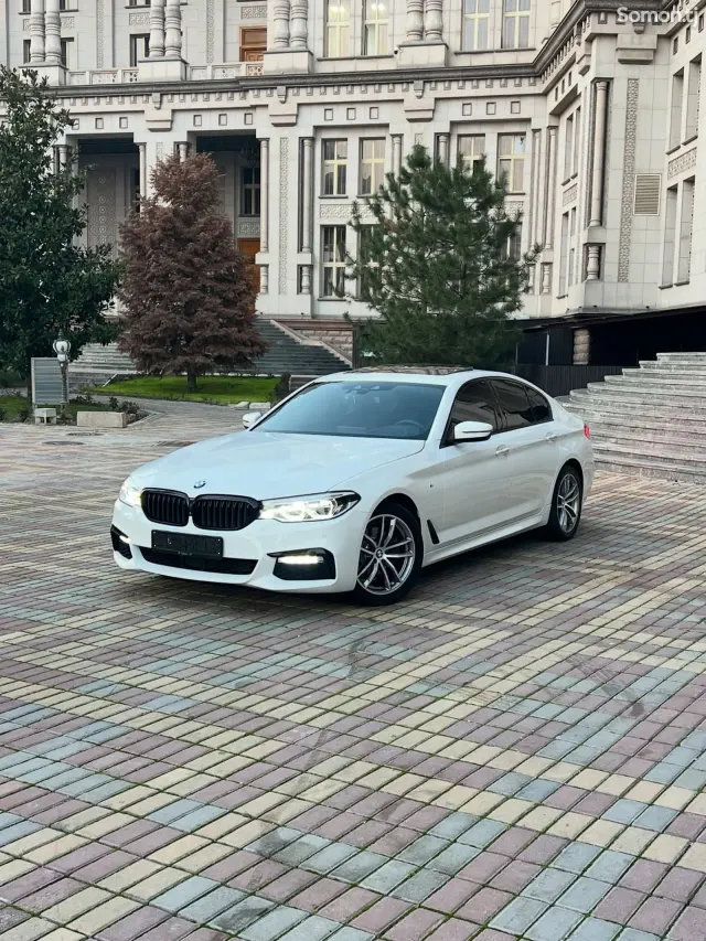BMW 5 series 2018 · 2.0 AT