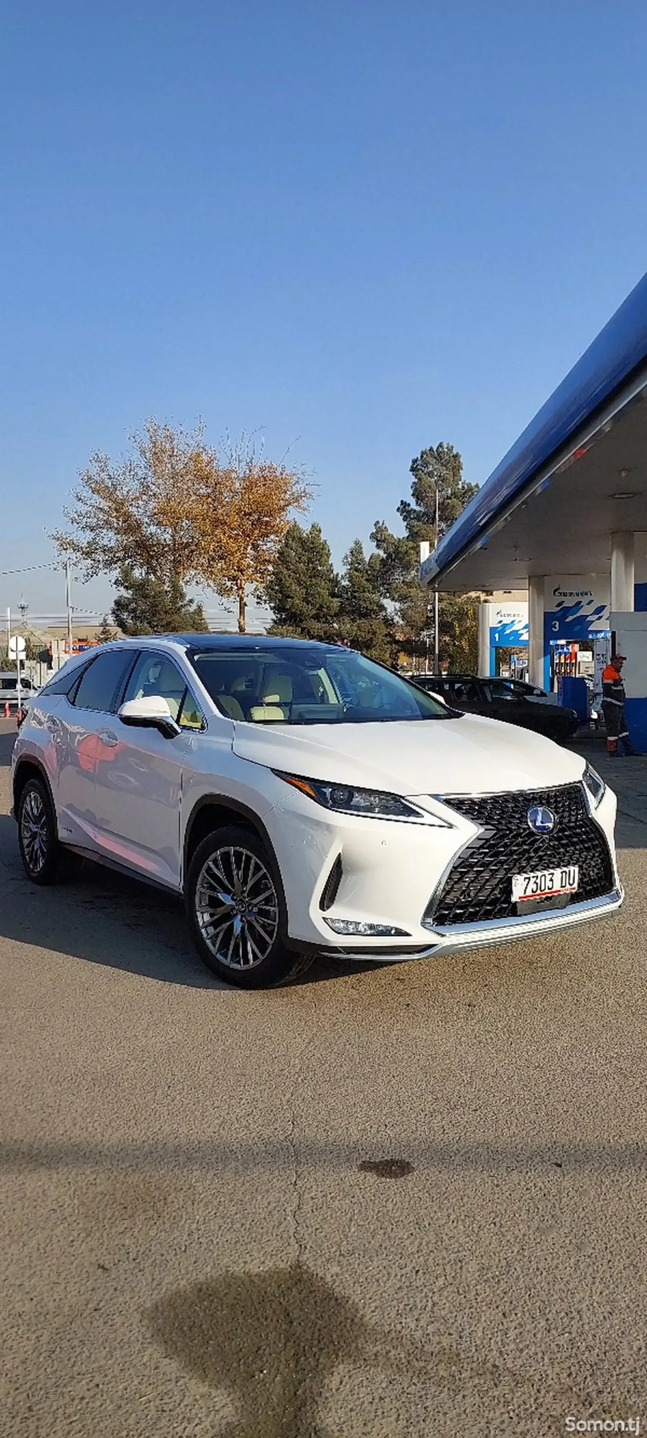 Lexus RX series 2022 · 4.5 AT