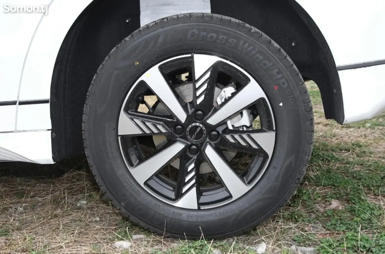 BYD E2 2025 · AMT