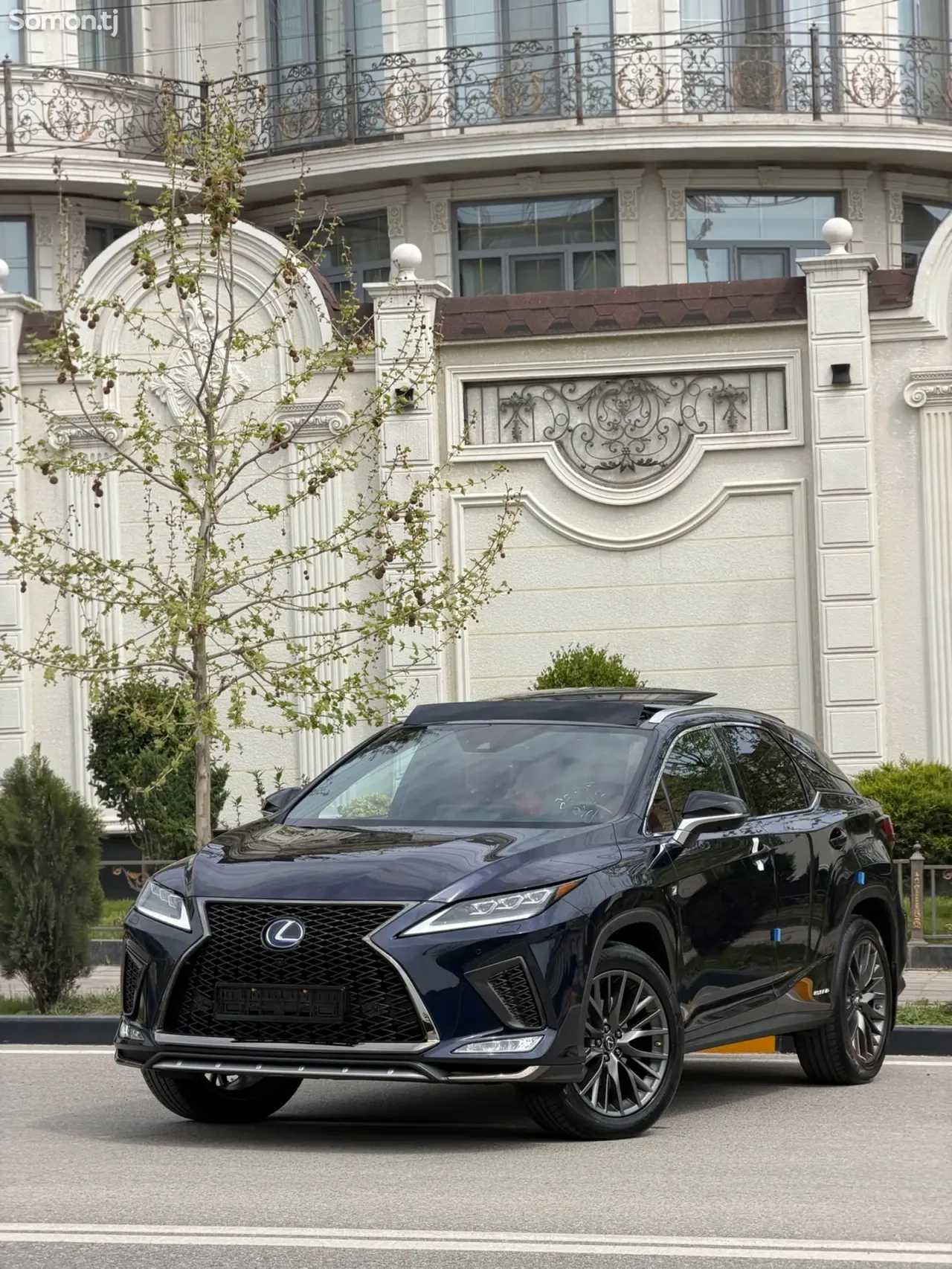 Lexus RX series 2022 · 4.5 AT