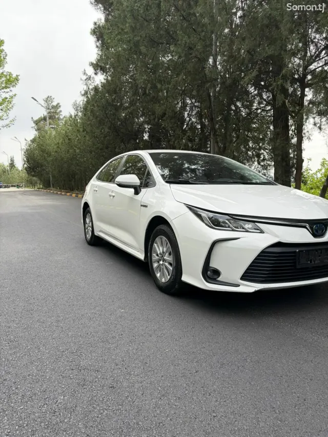 Toyota Corolla 2020 · 1.8 AT