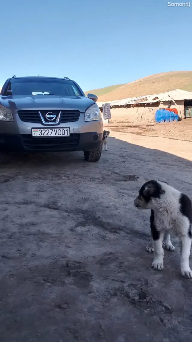 Nissan Qashqai 2008 · 2.0 AT