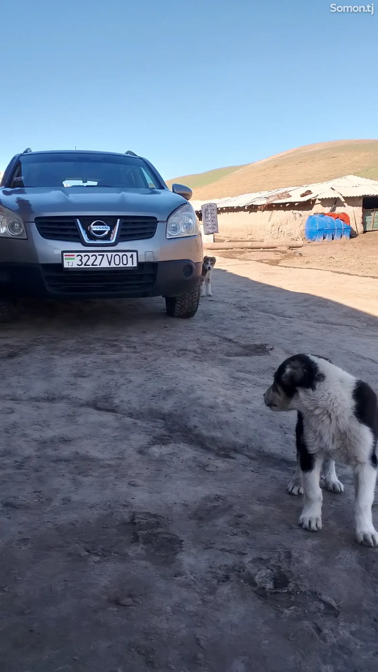 Nissan Qashqai 2008 · 2.0 AT