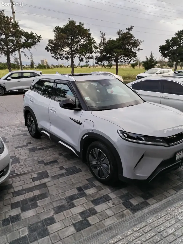 BYD Yuan Up 2024 · AT