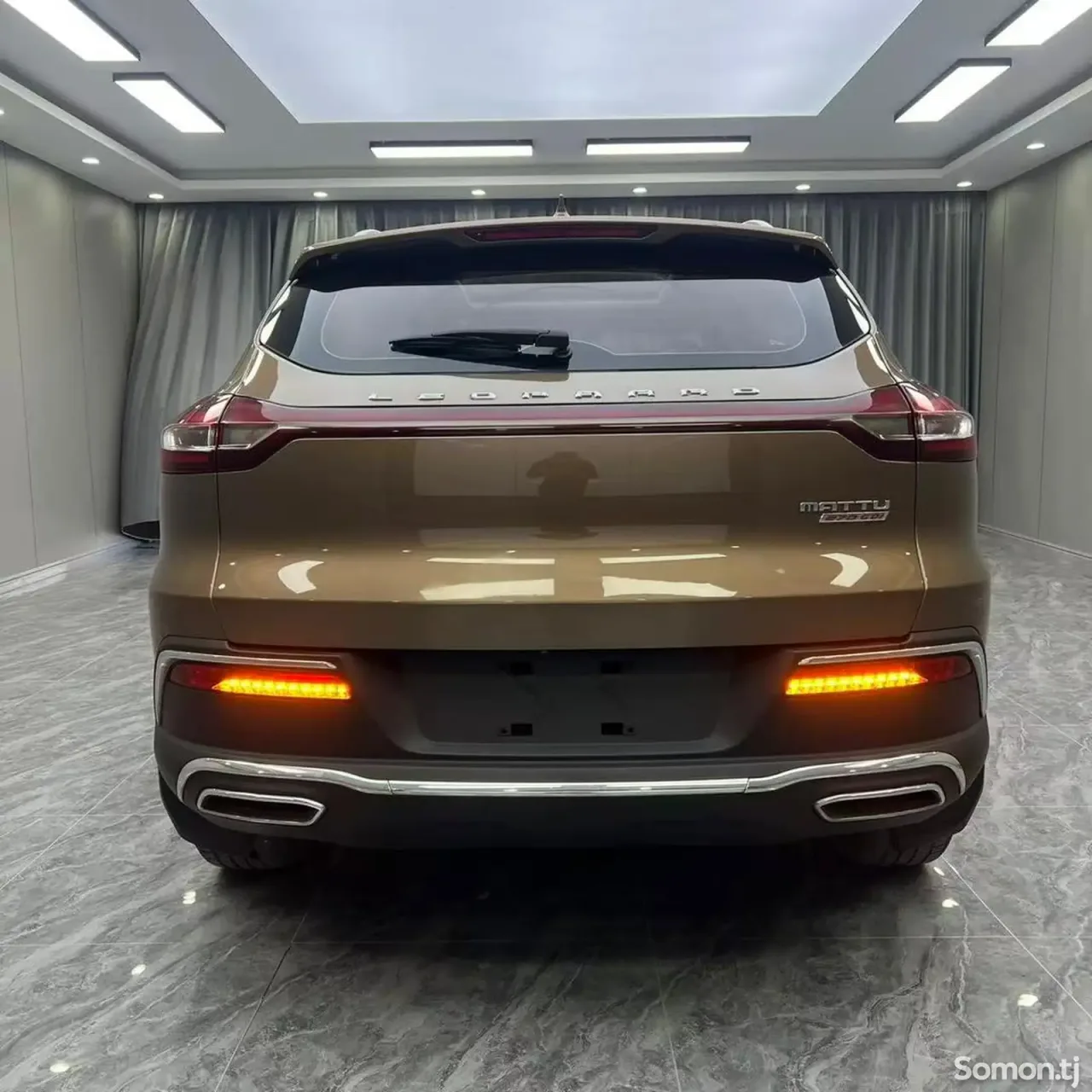 Leopaard Mattu 2019 · 1.6 AT