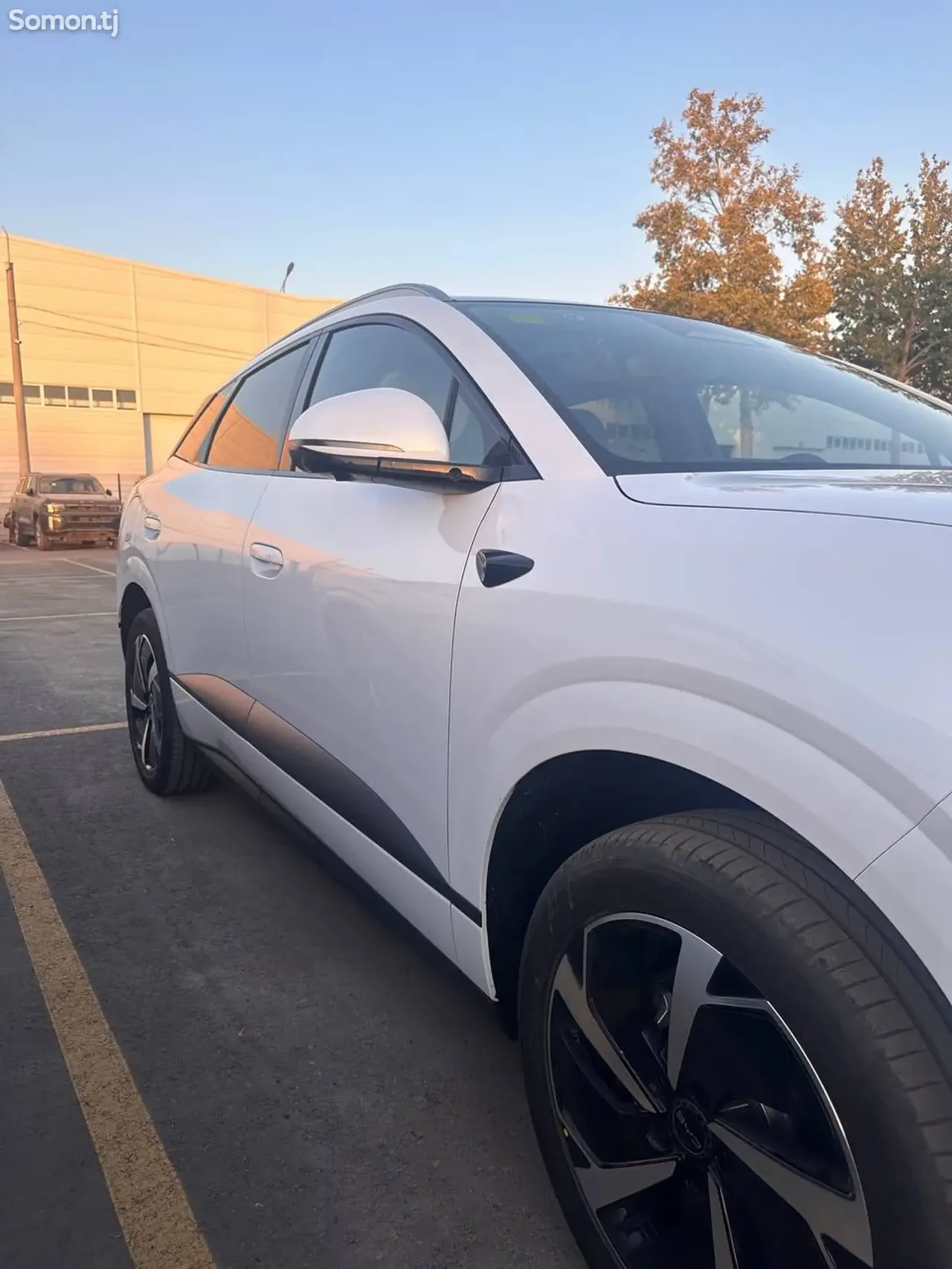 BYD Sea Lion 06 2025 · 2.0 AMT
