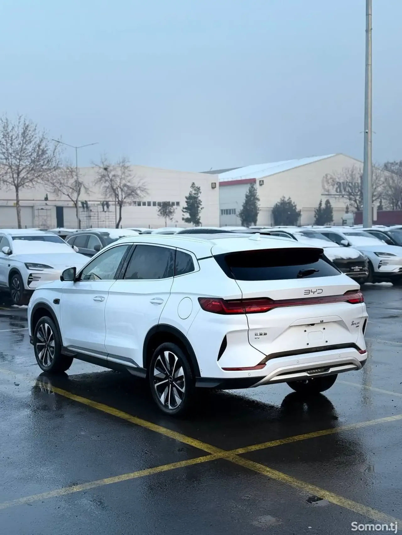 BYD Song Plus 2025 · AT