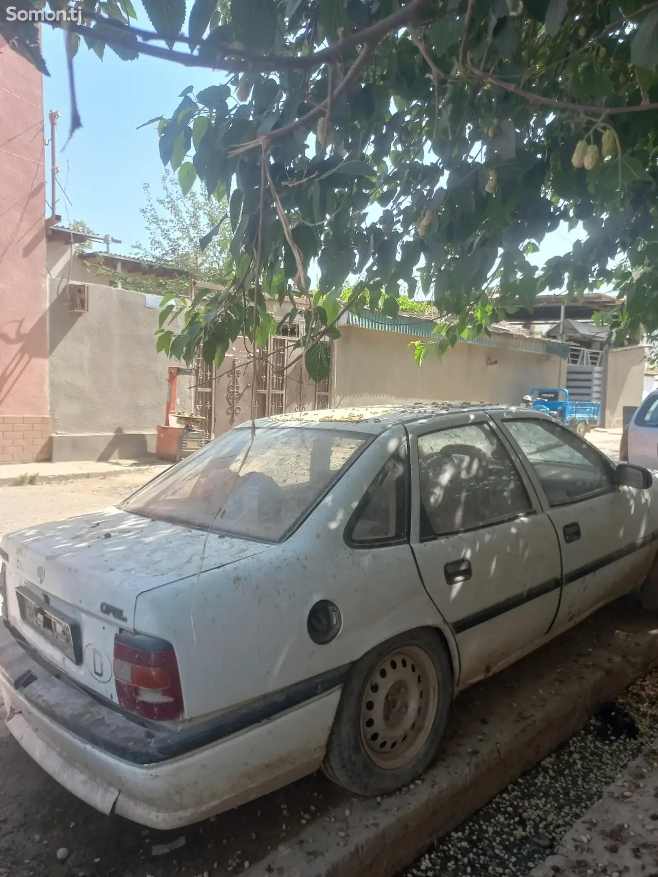 Opel Vectra A 1993 · 1.6 MT