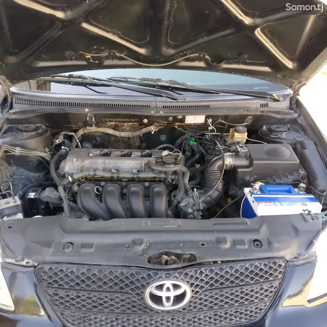 Toyota Corolla 2004 · 1.6 MT