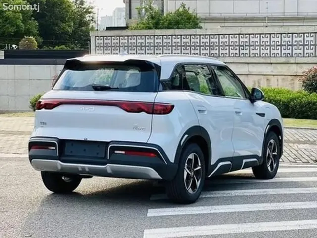 BYD Yuan Up 2025 · AMT