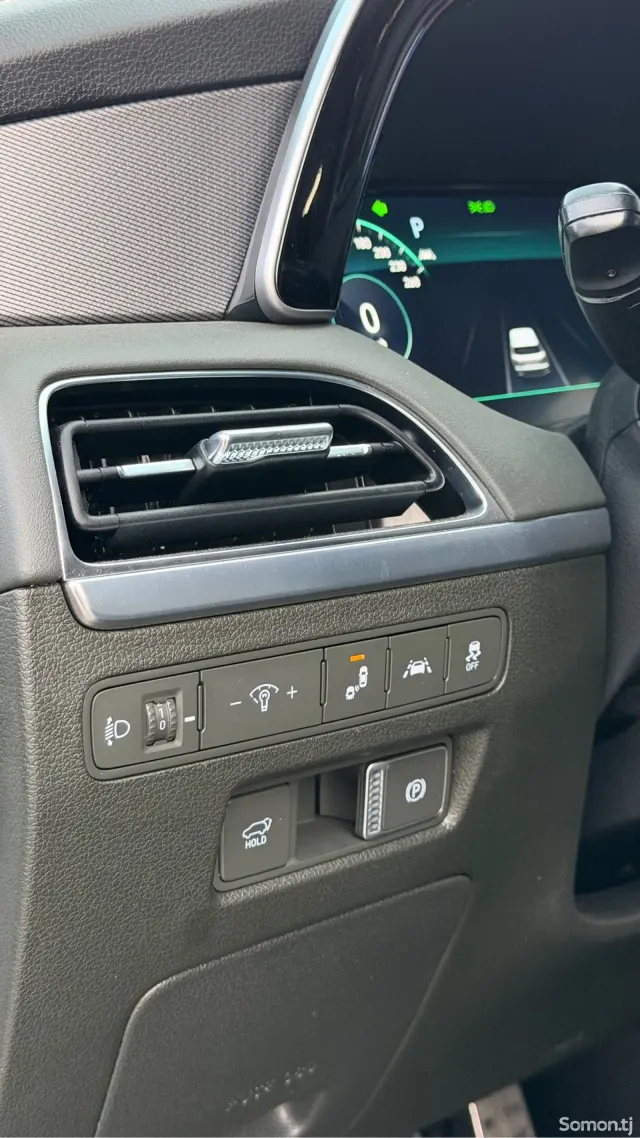 Hyundai Palisade 2021 · 2.0 AT