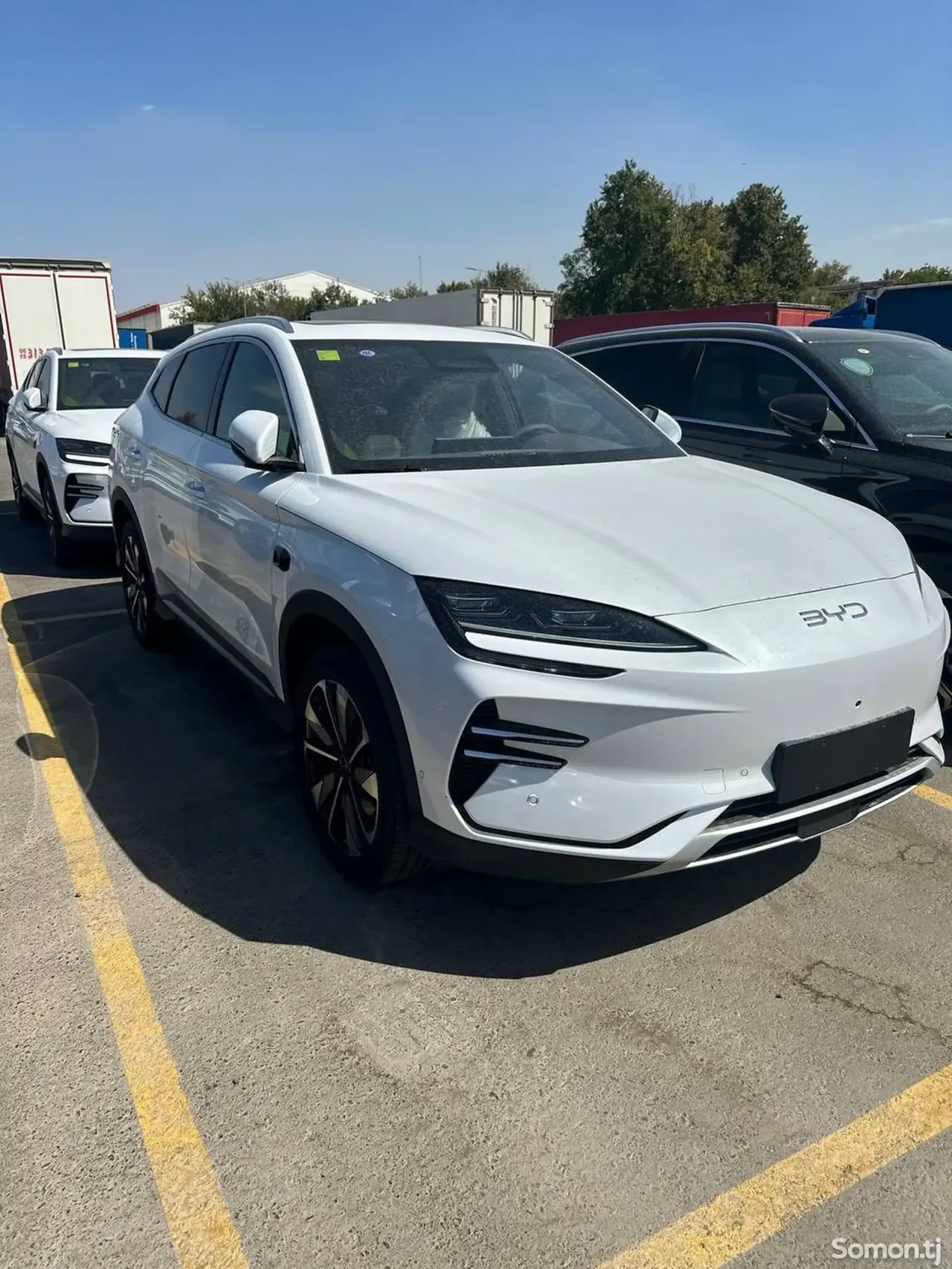 BYD Song Plus 2025 · AMT