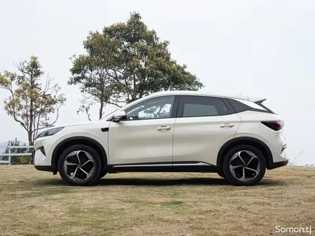 BYD Yuan Plus 2025 · AT
