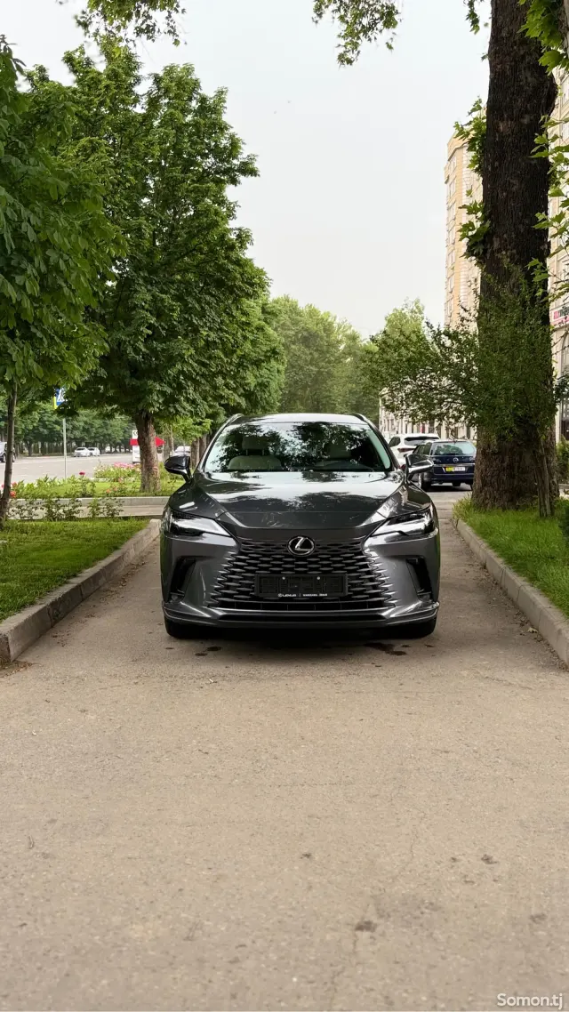 Lexus RX series 2025 · 3.5 AT