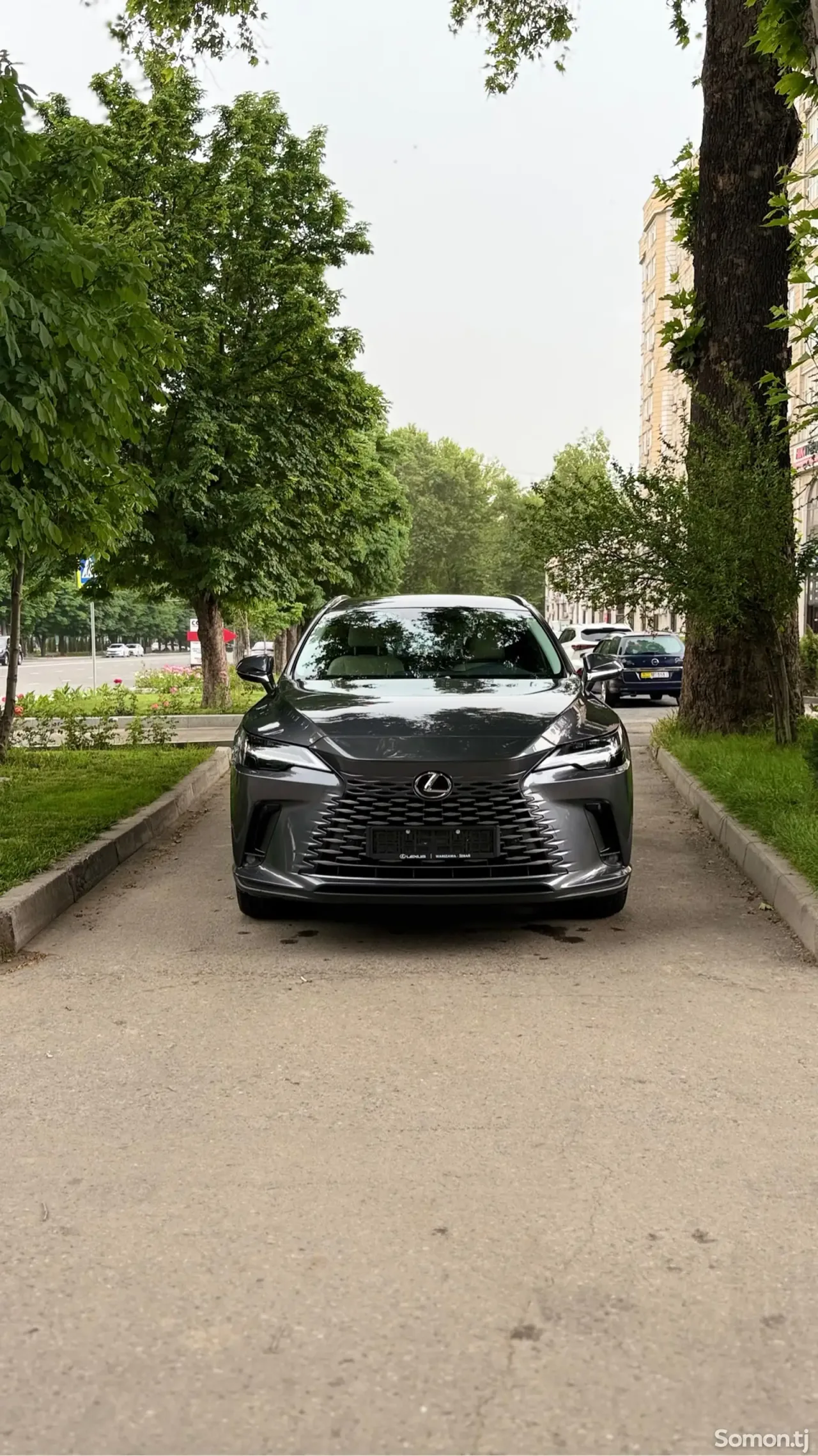 Lexus RX series 2025 · 3.5 AT