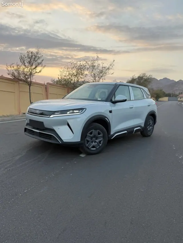 BYD Yuan Up 2025 · AMT