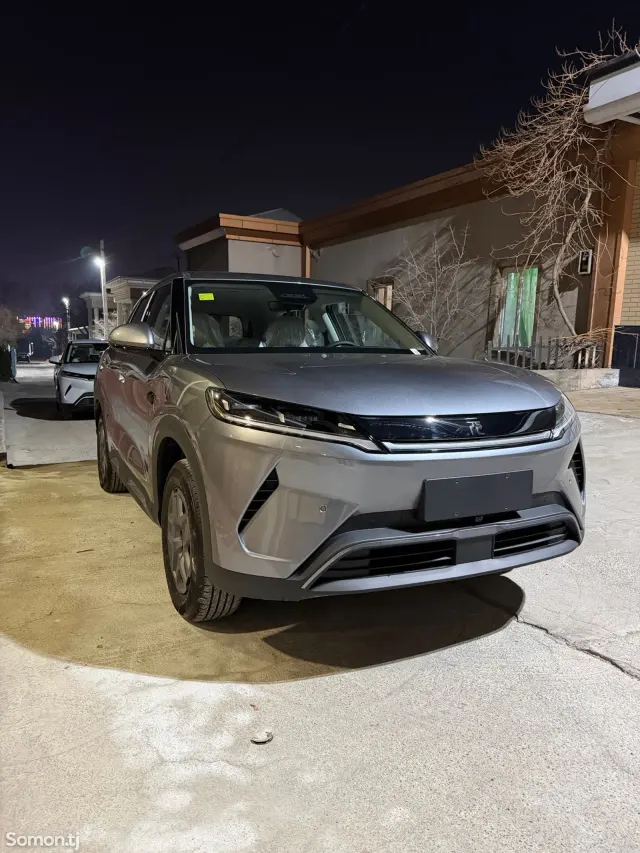BYD Yuan Up 2025 · AT